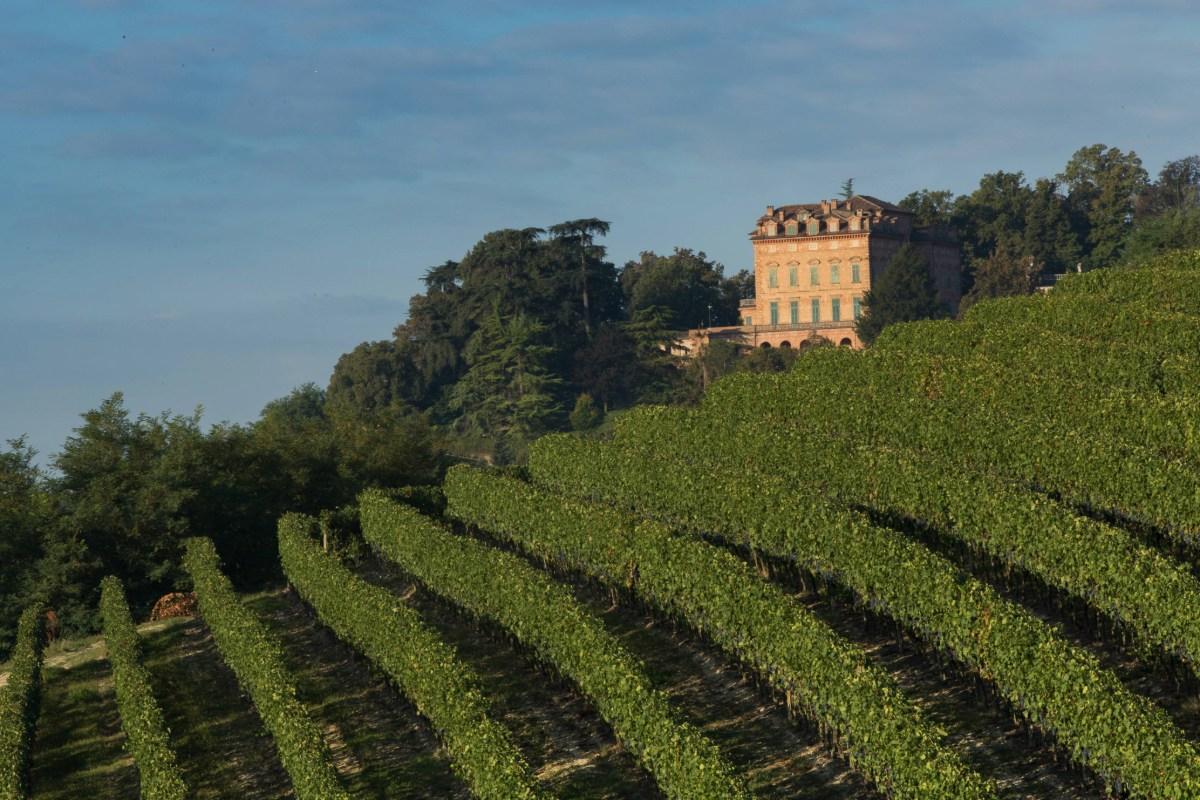 Italy's New Sparkling Wine Heroes